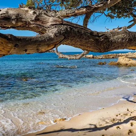 Cozy In With Wifi Lejlighed Porticcio (Corsica)