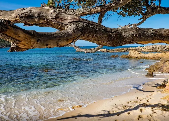 Cozy In With Wifi Daire Porticcio (Corsica)